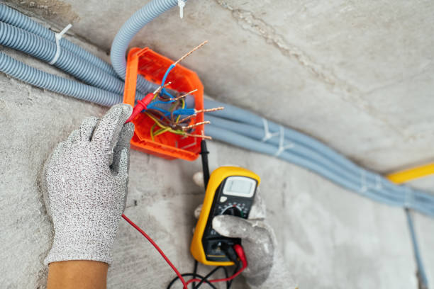 Best Local Electrician Companies  in Shenandoah, VA