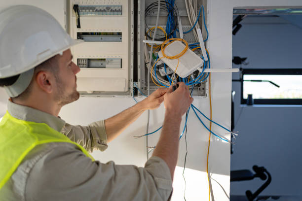 Best Generator Installation Services  in Shenandoah, VA